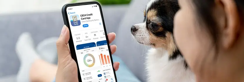 MyCardstatement FAQs